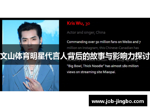 文山体育明星代言人背后的故事与影响力探讨